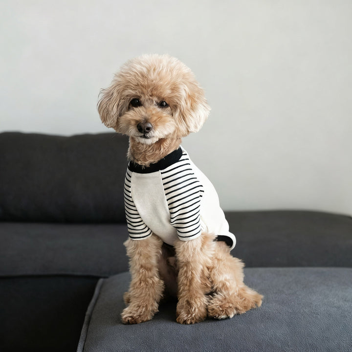 Striped Raglan Sleeve Dog Tee Shirt
