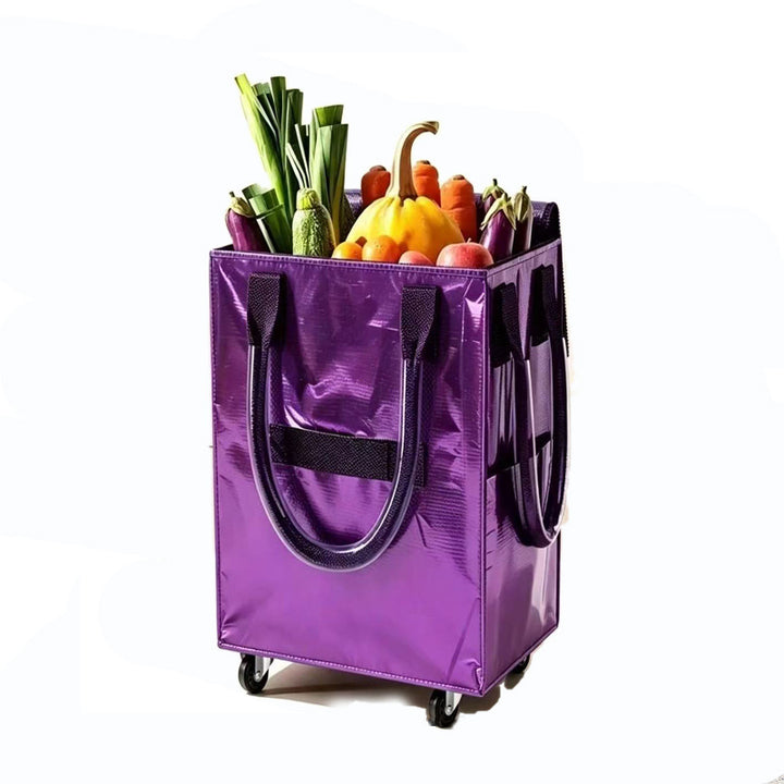 Insulated Food Delivery Cooler Tote Kalsten