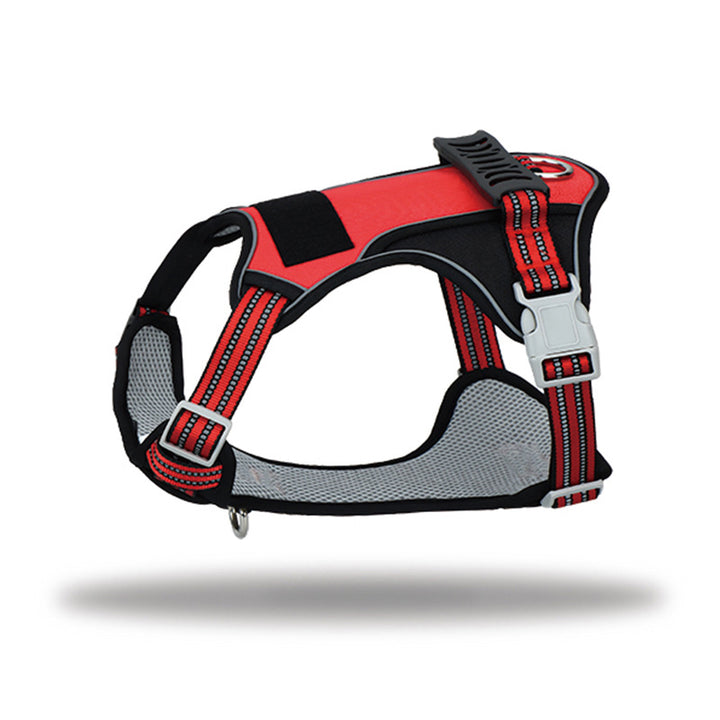 Dog Harness