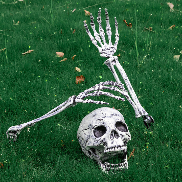 Decorative Skeleton Hand and Skull Décor Kalsten