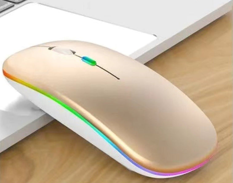 Wireless Ergonomic Mouse Kalsten