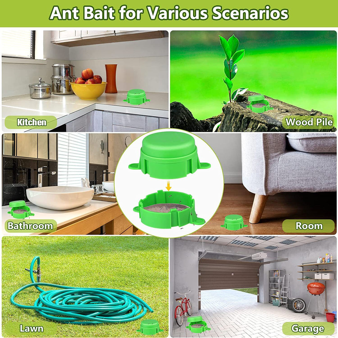 Ant wasp trap with refill system Kalsten