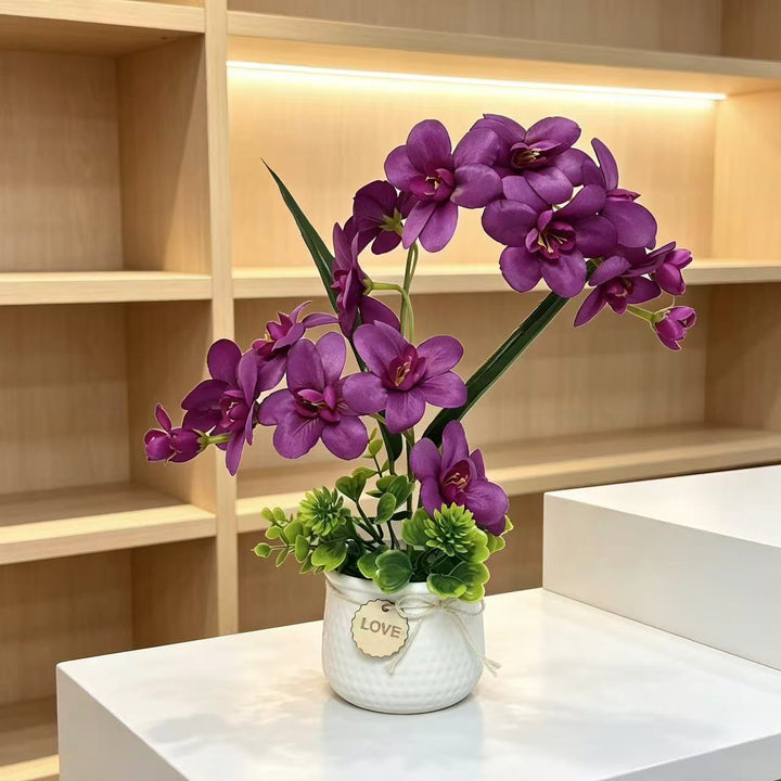 Decorative Orchid Plant Display