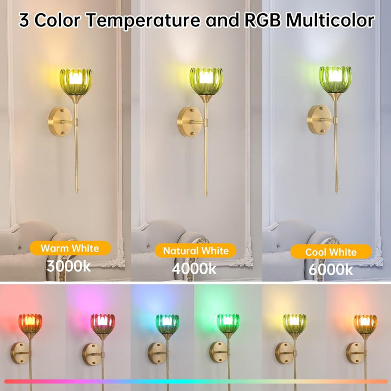 Wall Sconce