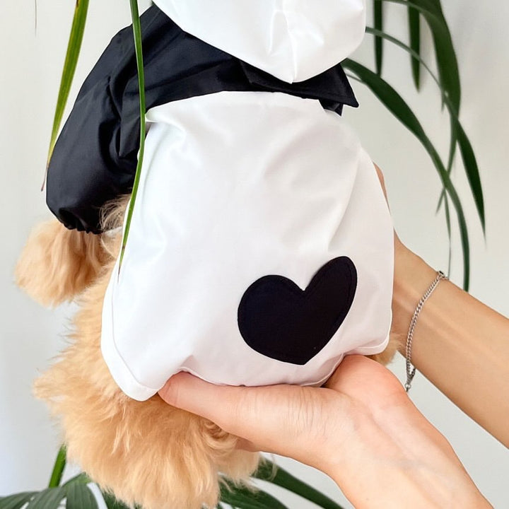 Contrast Panel Lightweight Dog Jumpsuit