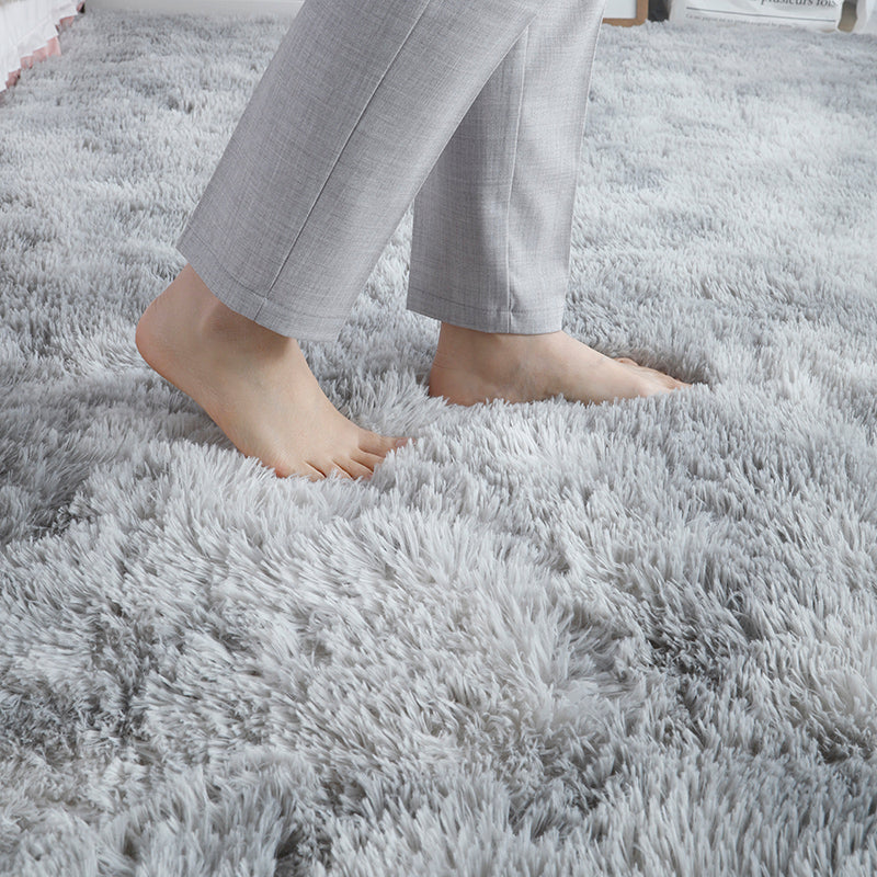 Shaggy Plush Area Rug Kalsten