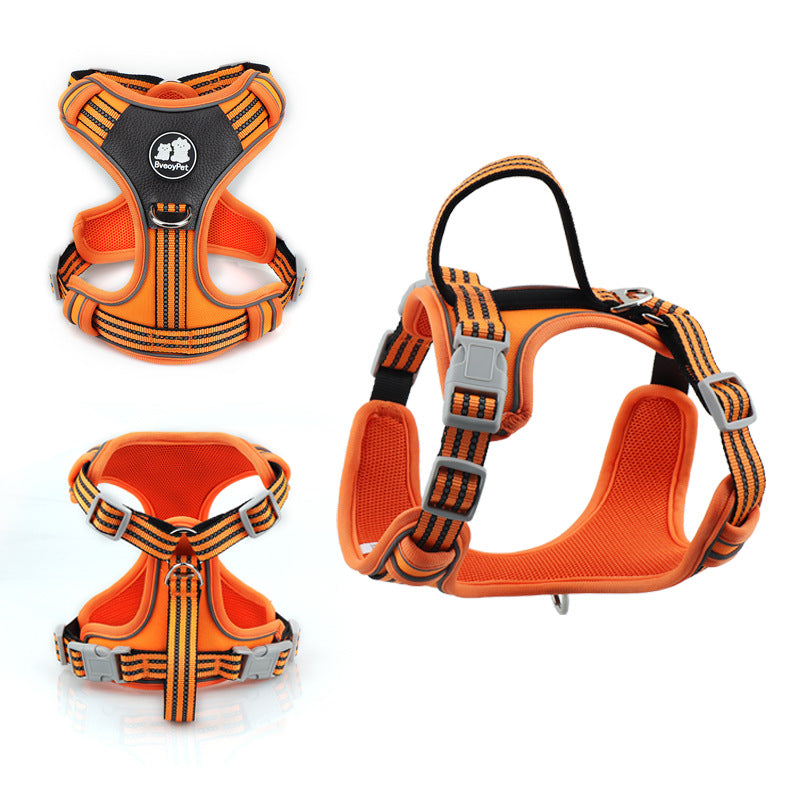 Padded Pet Harness