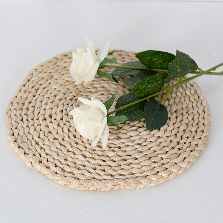 Decorative Realistic Rose Stems