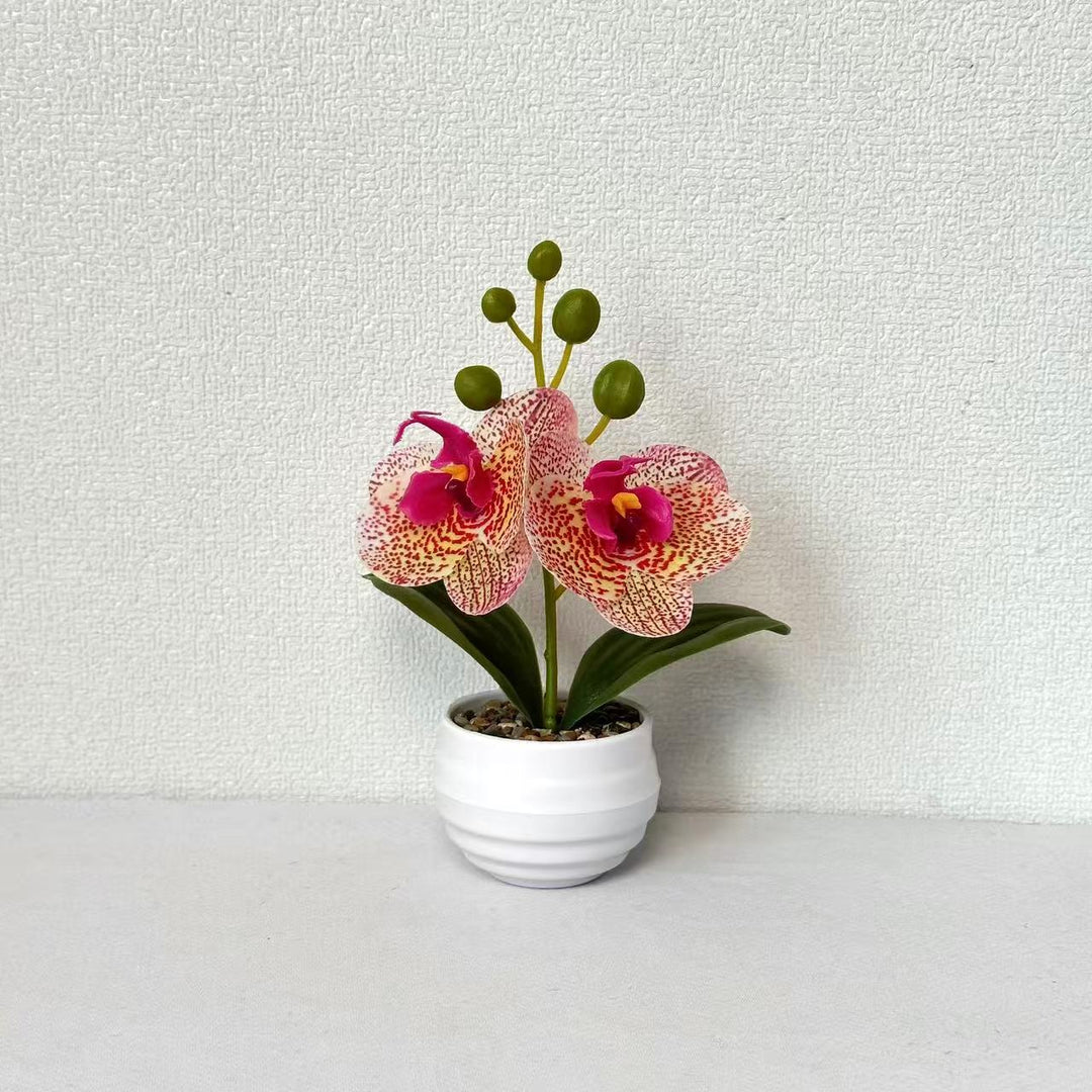 Decorative Orchid Planter
