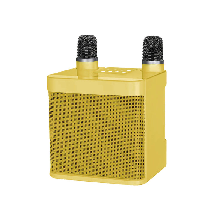 Dual Microphone Karaoke Speaker Kalsten