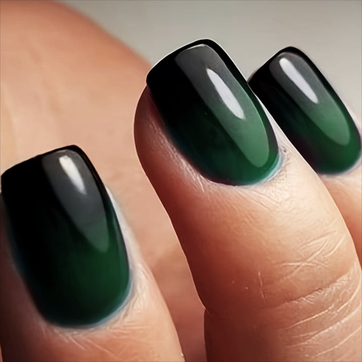 Luxurious Glossy Nail Extensions