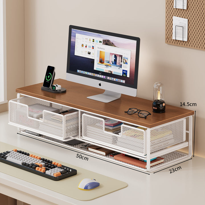 Multi-Functional Desk Organizer with Mesh Storage Bins Kalsten