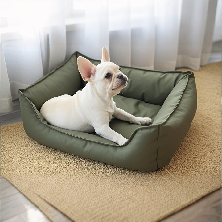 Orthopedic Dog Bed