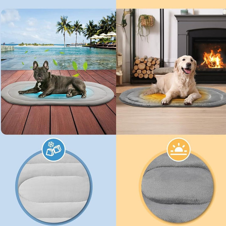 Unisex Pet Bed with Ergonomic Padding Kalsten