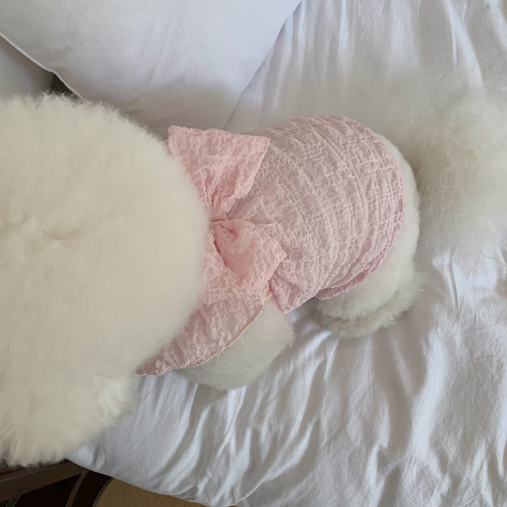 Lace Ruched Pet Dress with Decorative Back