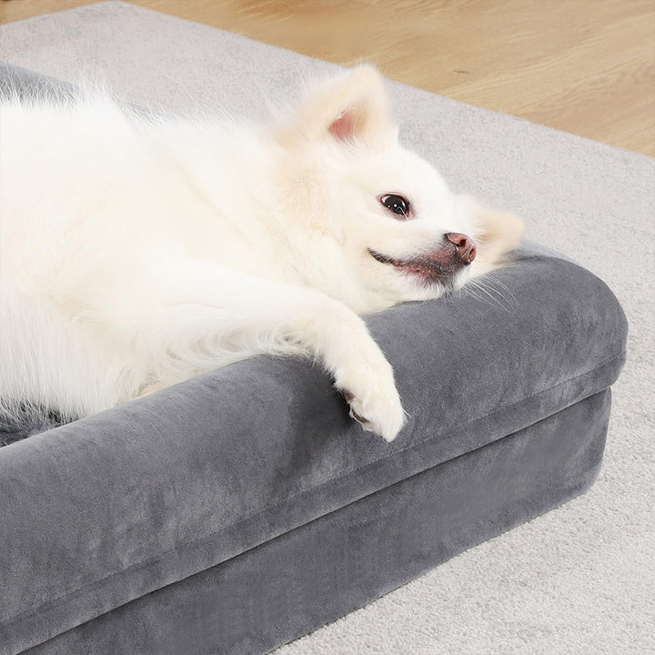 Elevated Orthopedic Dog Bed