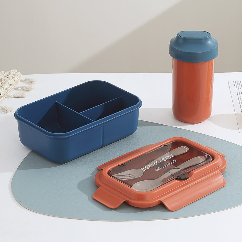 Stylish Multi-Compartment Bento Box