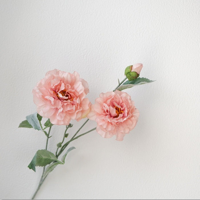 Realistic Peony Flower Stem