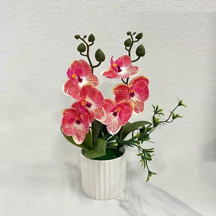 Elegant Floral Orchid Bouquet