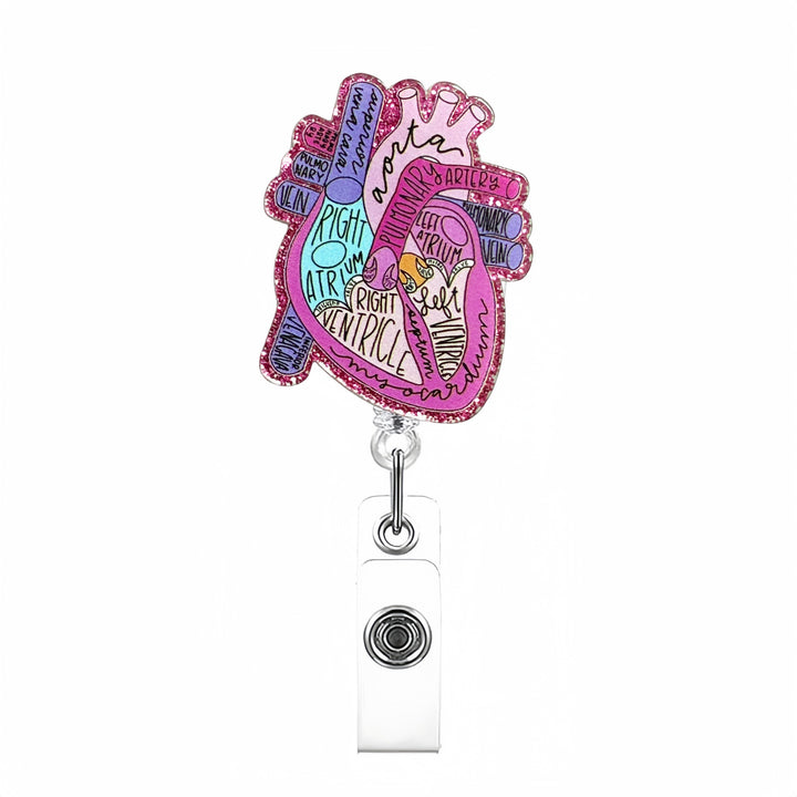 Expandable badge holder with anatomical heart pendant