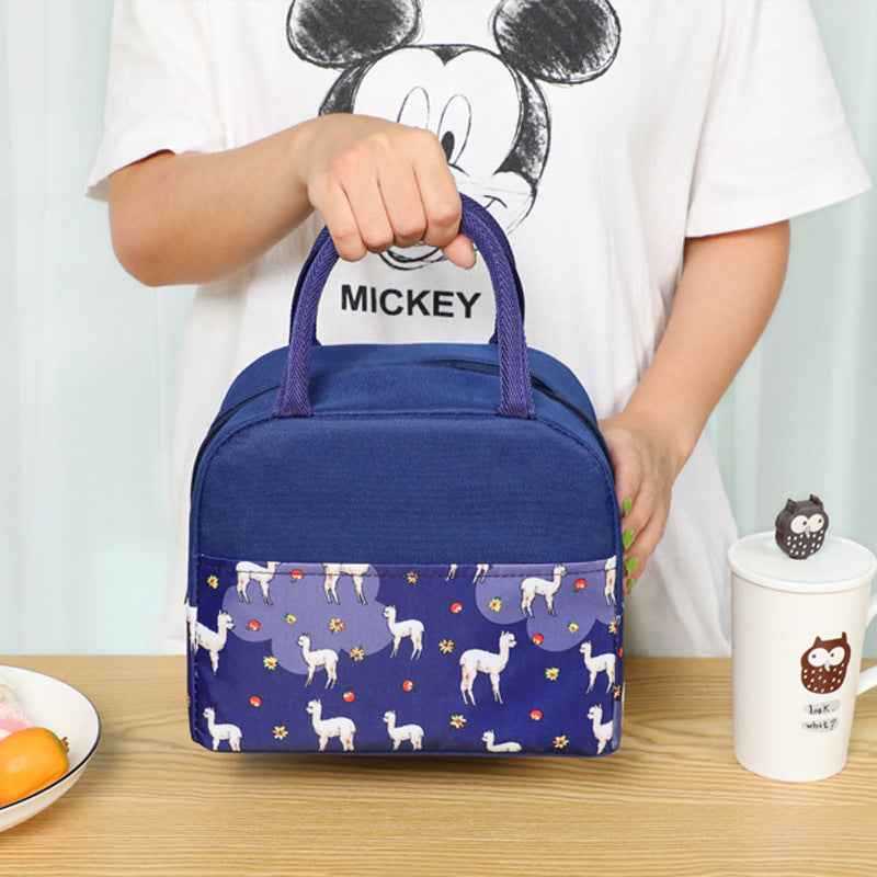 Stylish Insulated Lunch Backpack