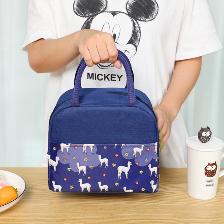 Stylish Insulated Lunch Backpack