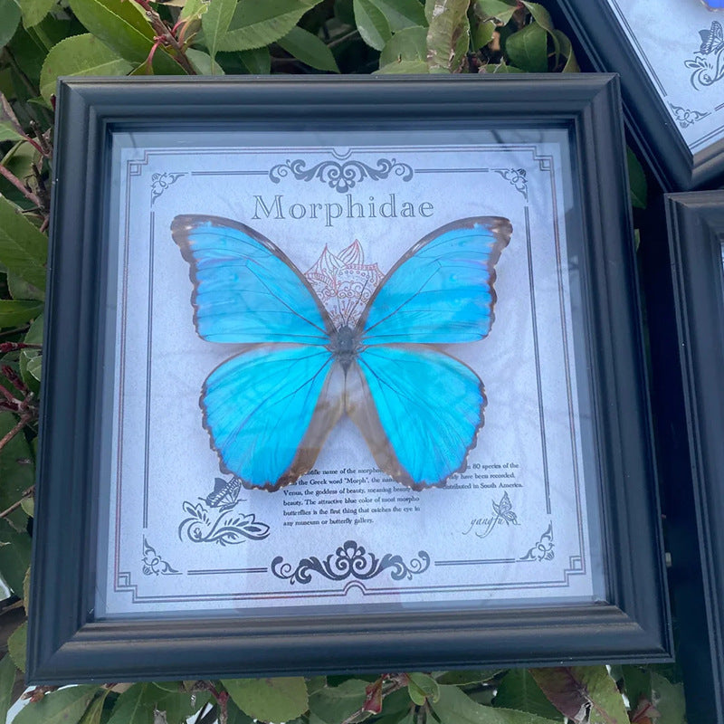 Decorative Butterfly Art Frame for Home Decor
