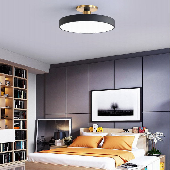 Contemporary Flush Mount Ceiling Light