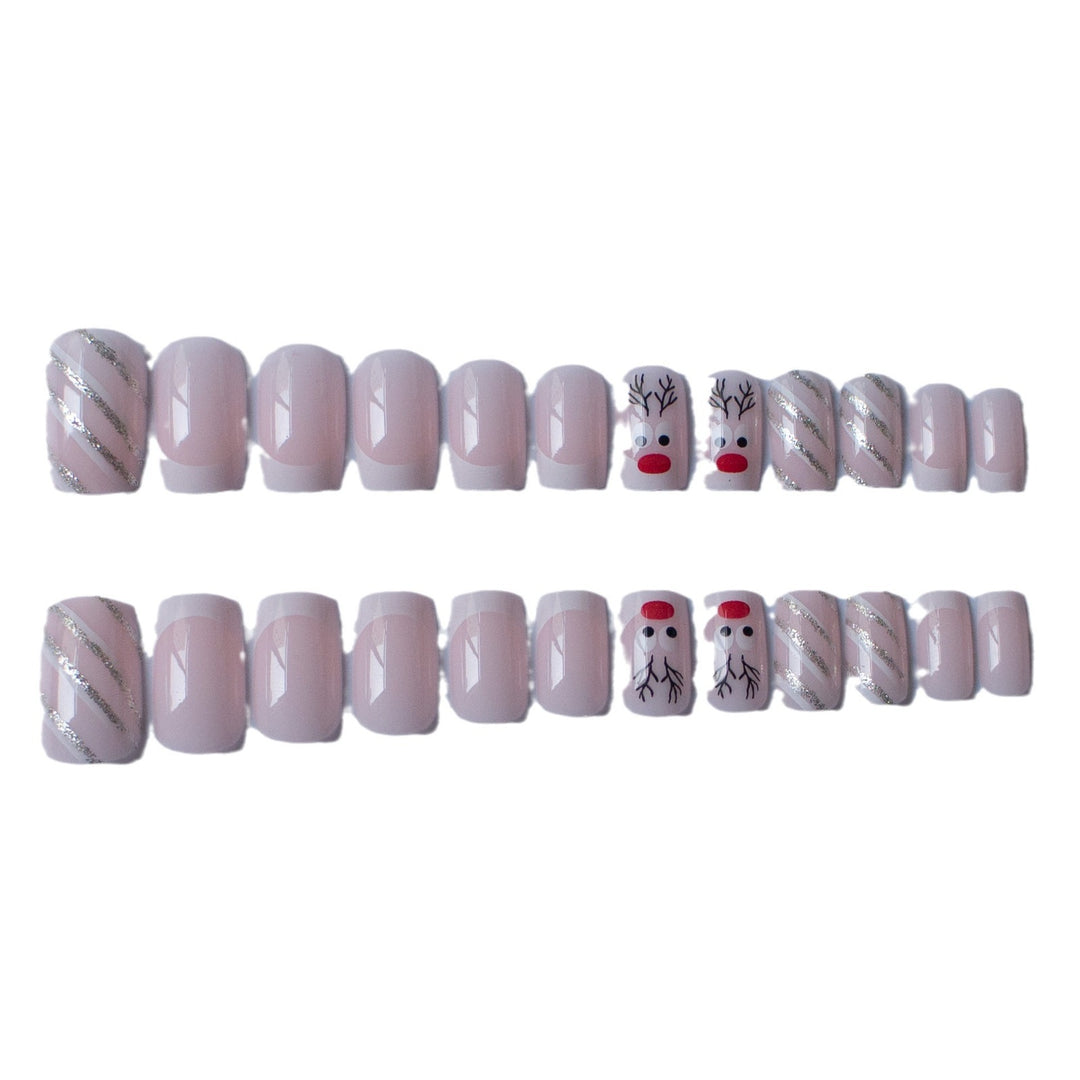 Premium Holiday-Themed Nail Art Set