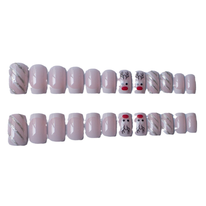 Premium Holiday-Themed Nail Art Set