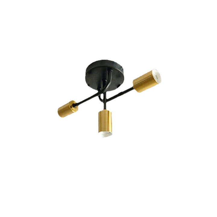 Adjustable Spotlight Ceiling Fixture