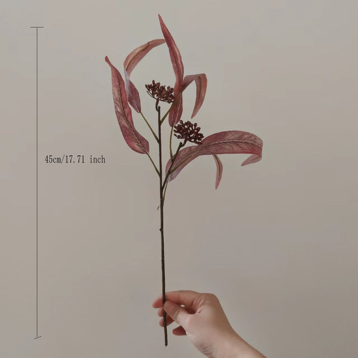 Natural Dried Floral Stem