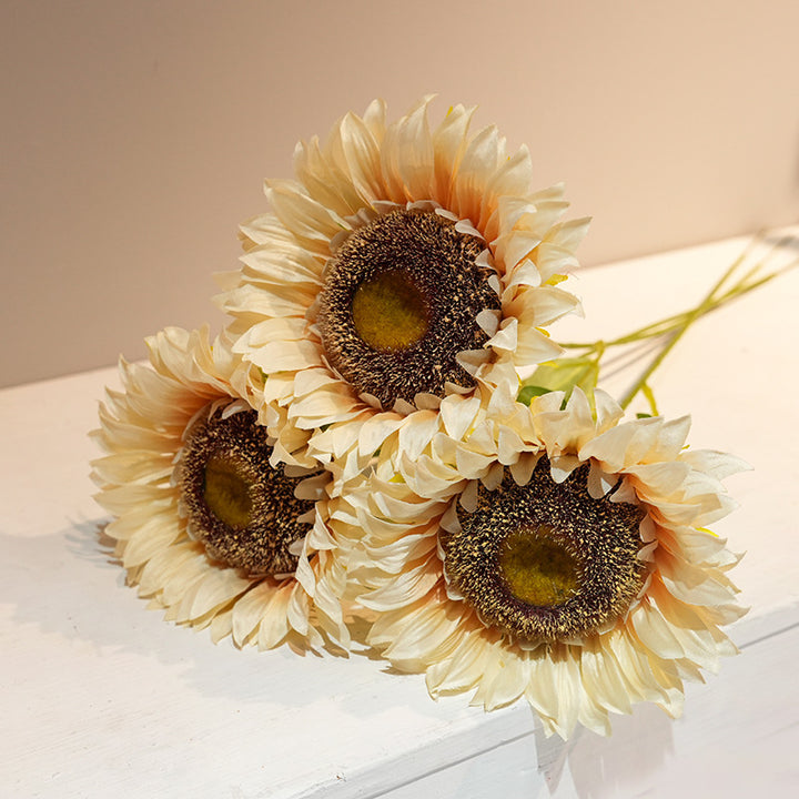 Decorative Plant Kalsten