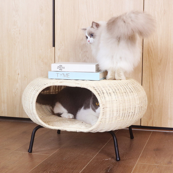 Decorative Basket Kalsten