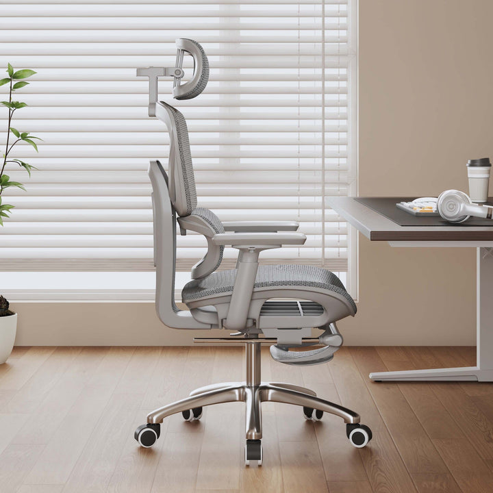 Adjustable Lumbar Support Office Chair Kalsten