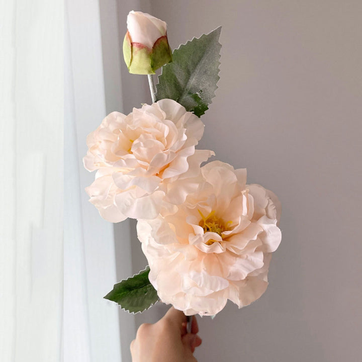 Realistic Peony Flower Stem