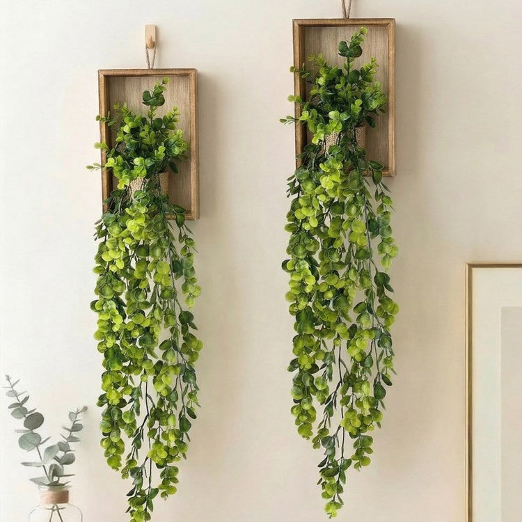 Decorative Wall Hanging Plant Arrangement