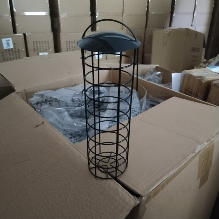 Transparent Bird Feeder Kalsten