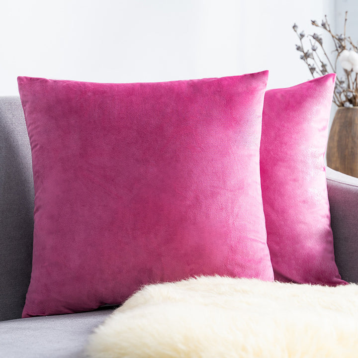 Ultra-Soft Velvet Square Decorative Pillow Cover with Minky Back and Invisible Zipper