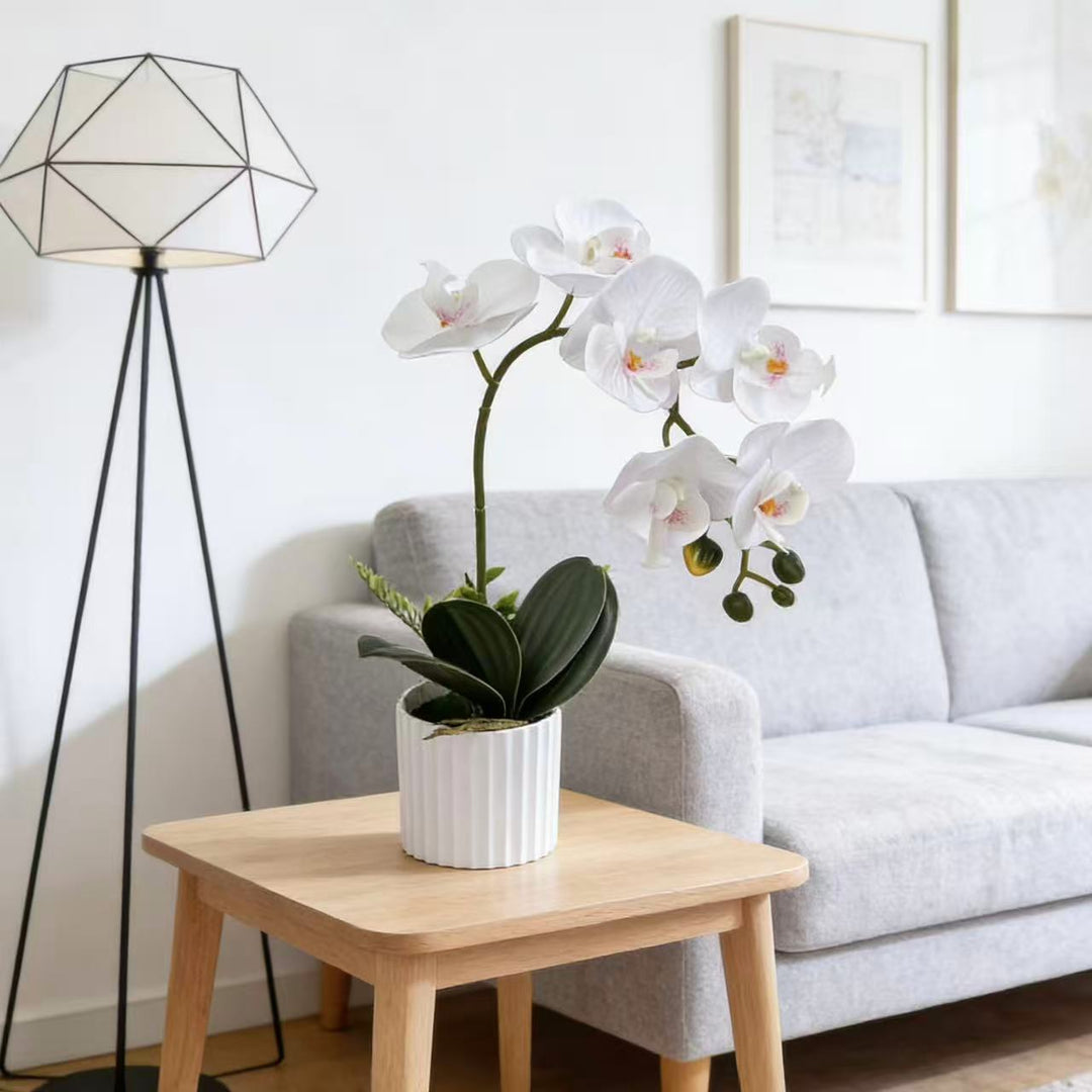 Realistic Faux Orchid Plant Arrangement