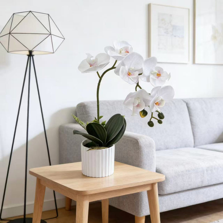 Realistic Faux Orchid Plant Arrangement