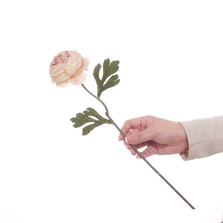 Realistic Floral Stem with Detailed Petals