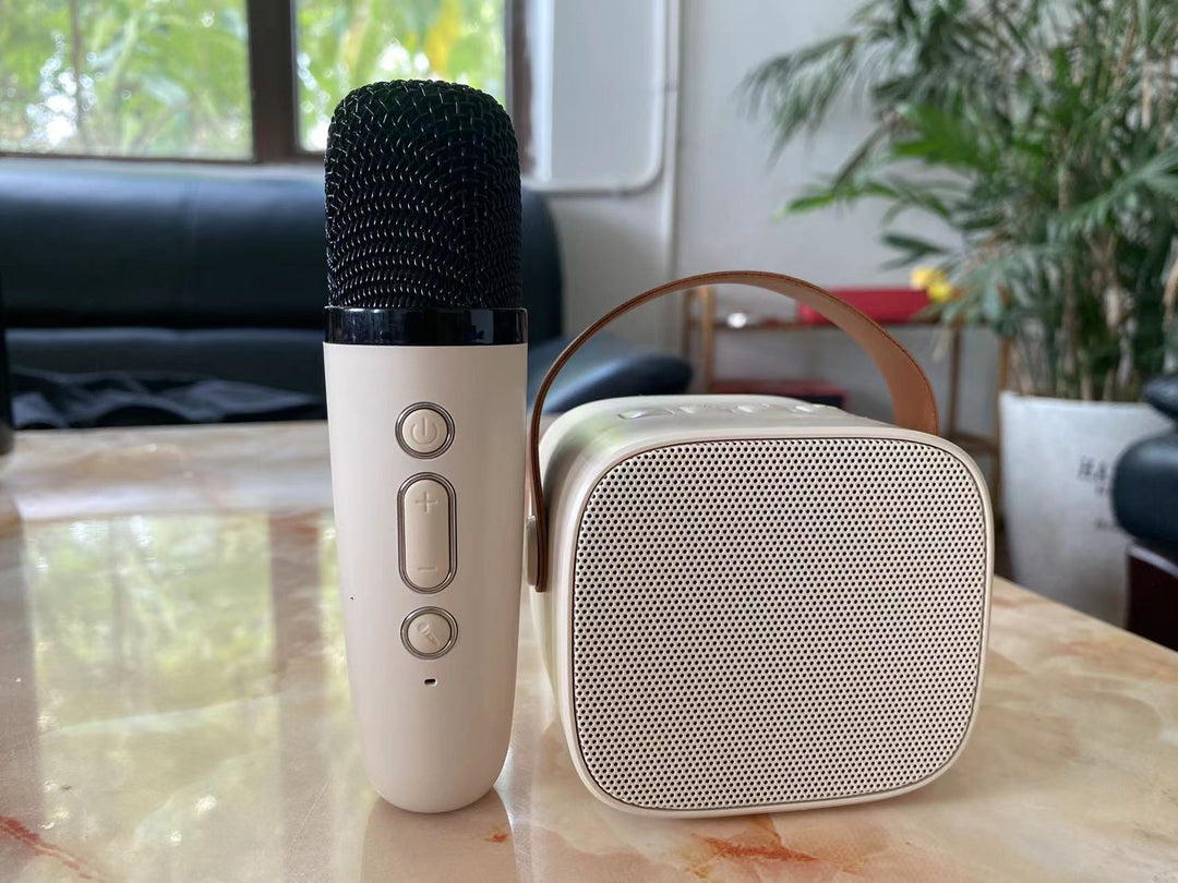 Portable Bluetooth Speaker with Wireless Microphone Kalsten