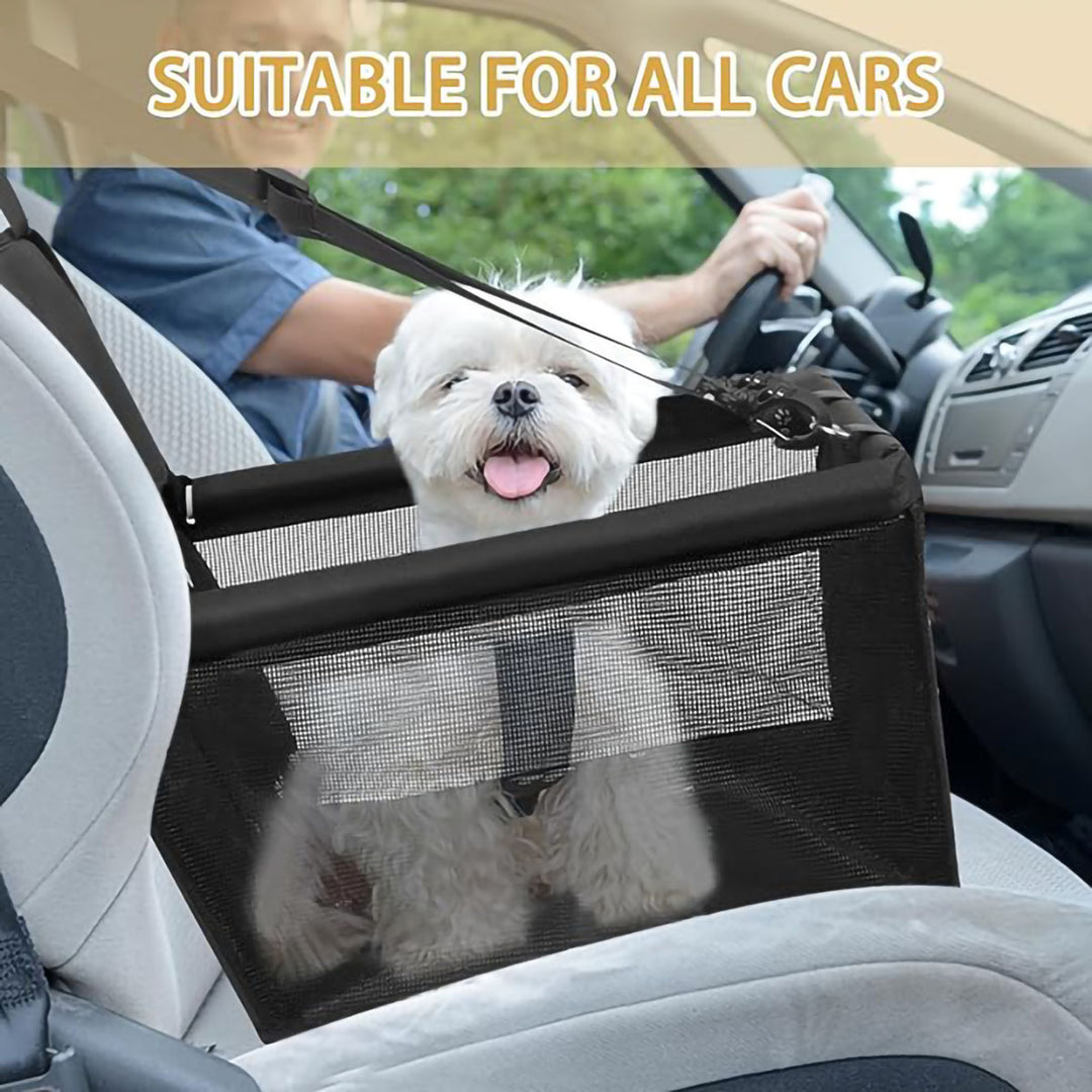 Safety Car Seat for Dogs Kalsten