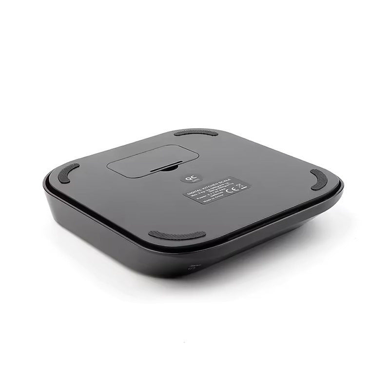 Precision Digital Scale