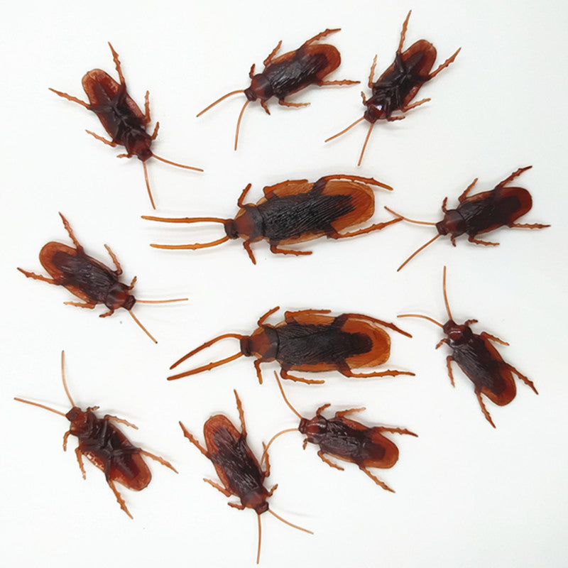 Realistic Insect Kalsten