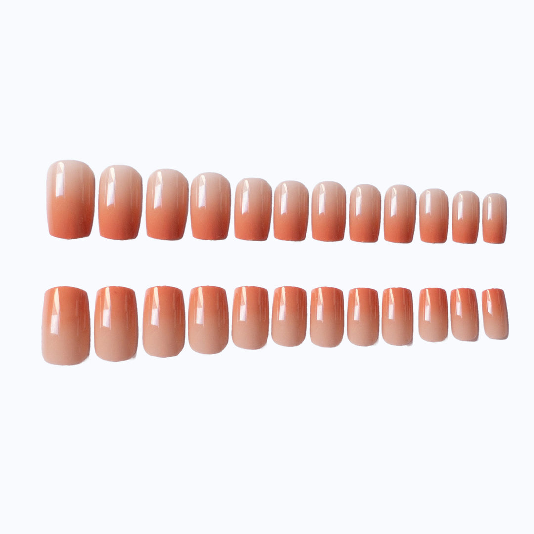 Glossy Natural Finish Nail Art Kit