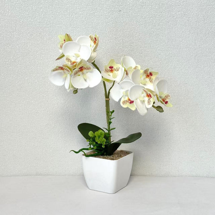 Artificial Orchid Arrangement for Home Decor Display