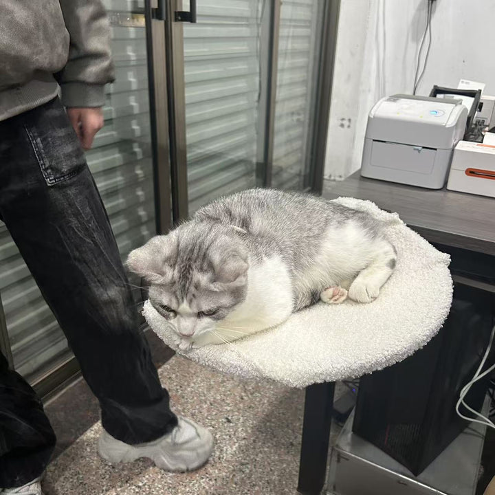 Pet Hammock Kalsten
