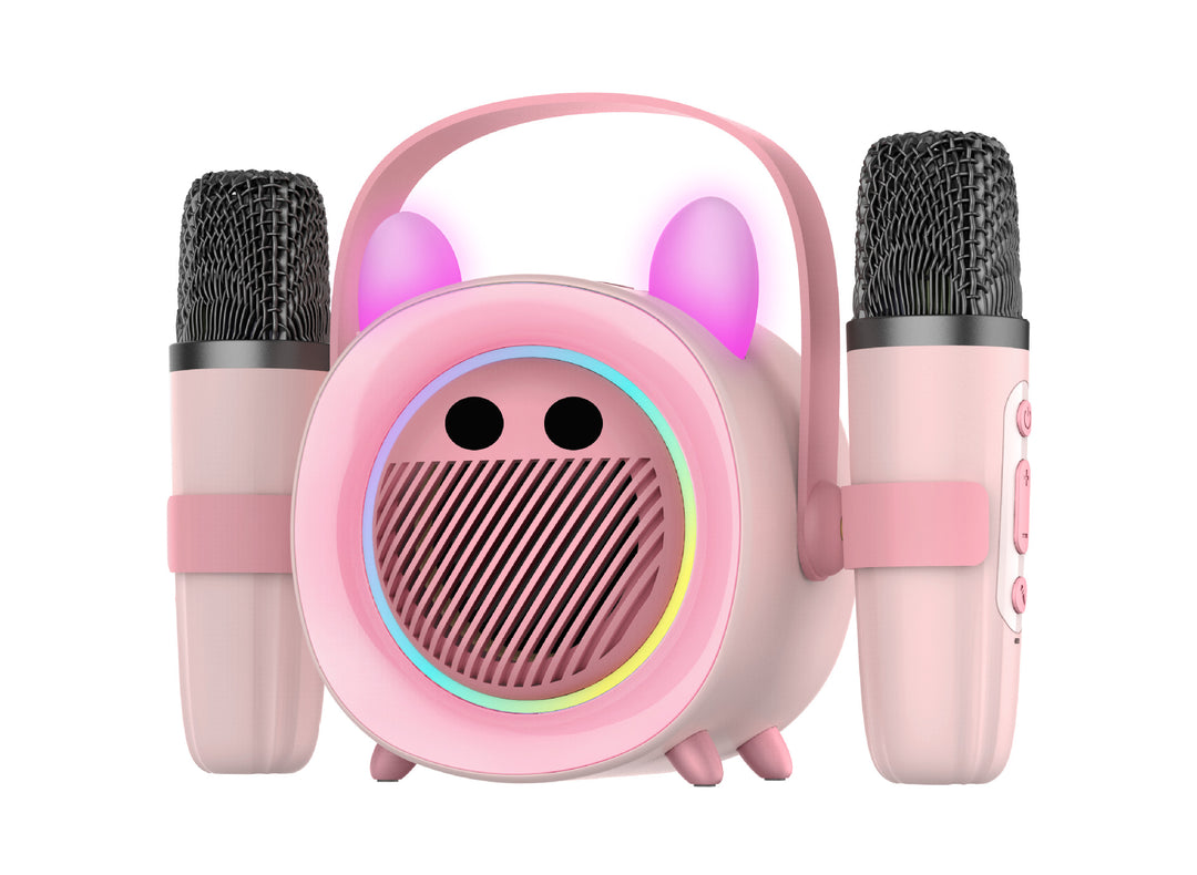 Karaoke Microphone Speaker Kalsten